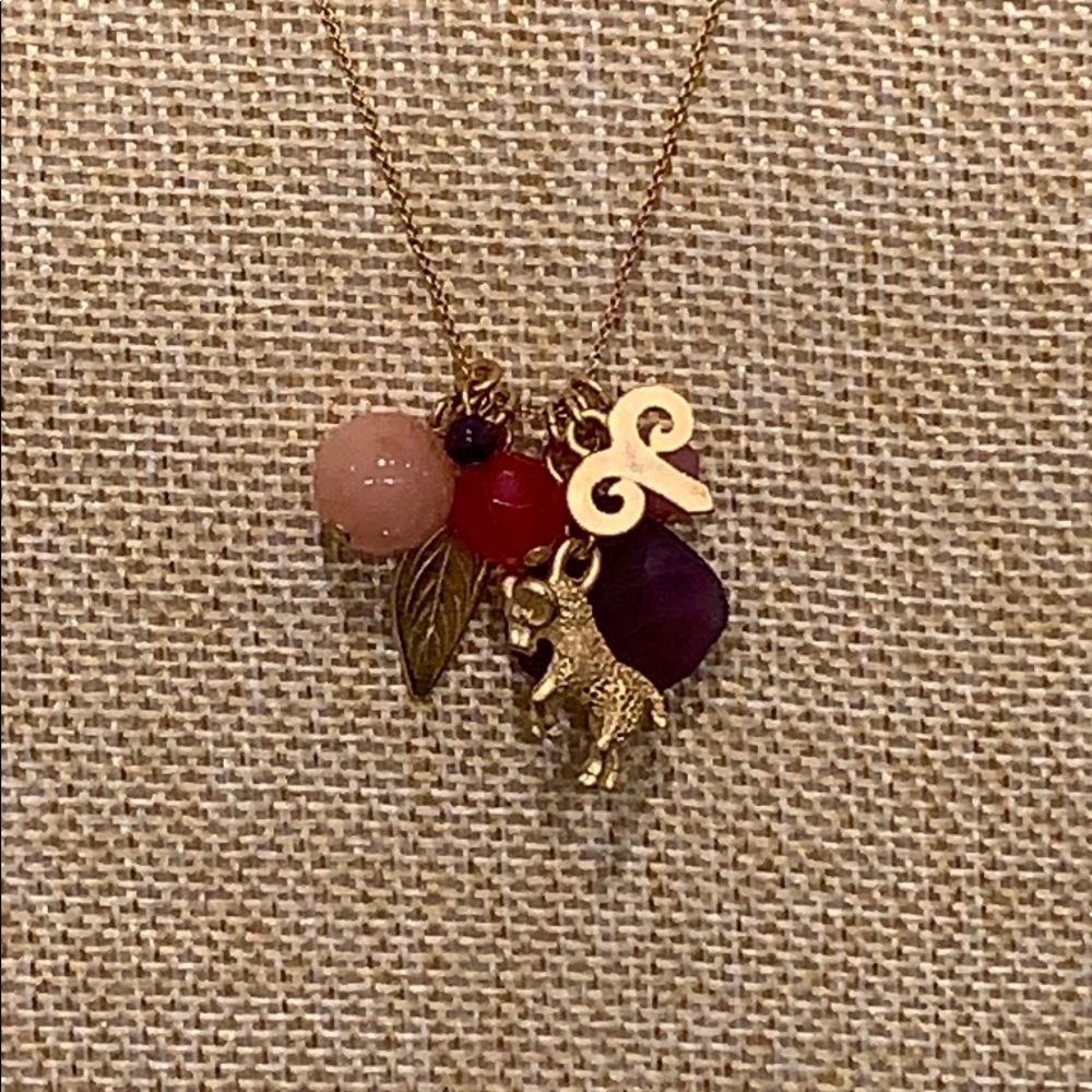 Aries ♈️ Zodiac Charm Necklace